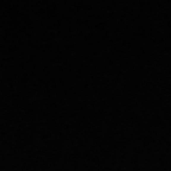 Goriii Kartik
